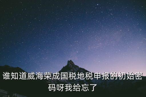 申報(bào)地稅的密碼是什么，徐州地稅網(wǎng)上申報(bào)的初始密碼是多少啊