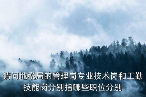 請問地稅局的管理崗專業(yè)技術(shù)崗和工勤技能崗分別指哪些職位分別