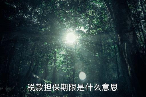 納稅擔保人什么意思，稅款擔保期限是什么意思