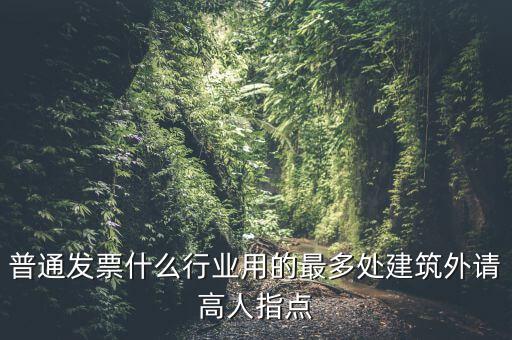 普通發(fā)票什么行業(yè)用的最多處建筑外請(qǐng)高人指點(diǎn)