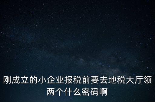 繳稅服務(wù)廳口令輸什么，剛成立的小企業(yè)報(bào)稅前要去地稅大廳領(lǐng)兩個(gè)什么密碼啊