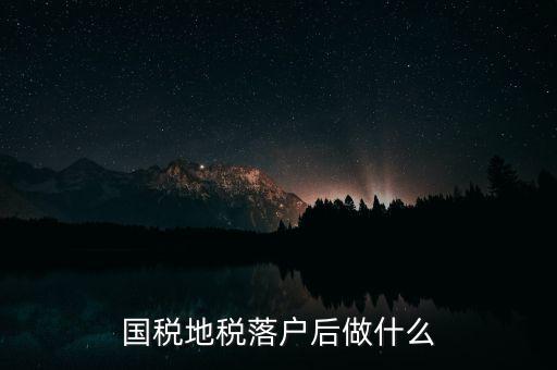 國(guó)稅地稅落戶后做什么