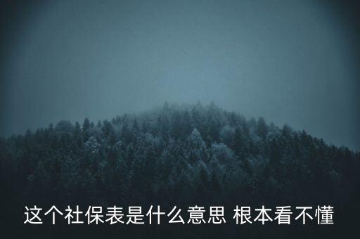 這個(gè)社保表是什么意思 根本看不懂