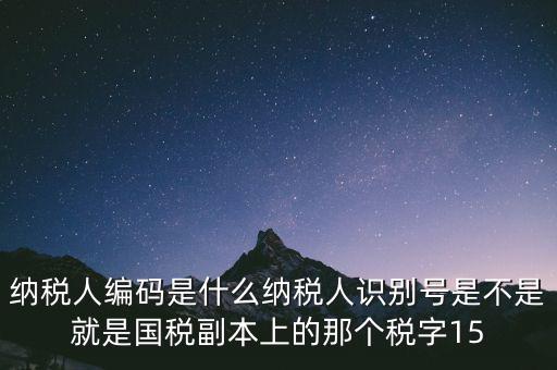 納稅人編碼是什么納稅人識別號是不是就是國稅副本上的那個稅字15