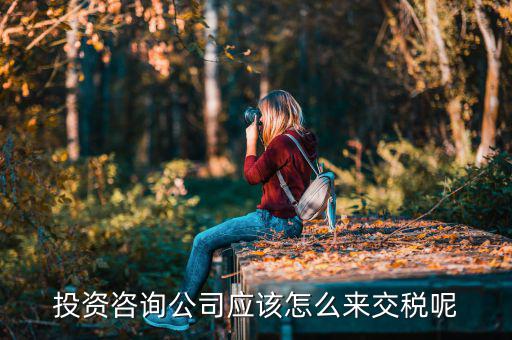 投資咨詢(xún)公司應(yīng)該怎么來(lái)交稅呢