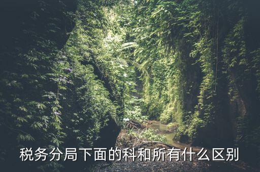 稅局計(jì)統(tǒng)科是什么意思，稅務(wù)分局下面的科和所有什么區(qū)別