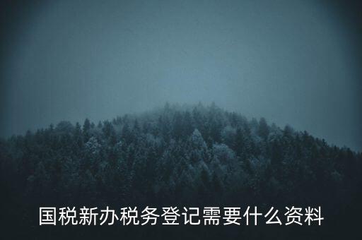 國(guó)稅新辦稅務(wù)登記需要什么資料