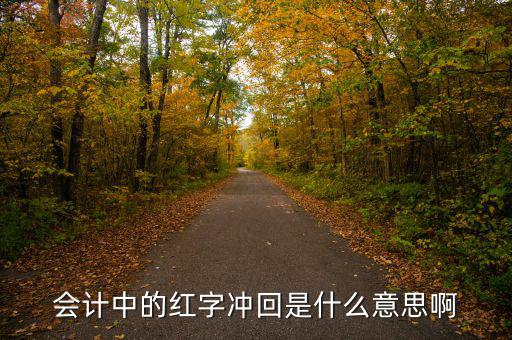 會計中的紅字沖回是什么意思啊