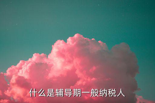 什么是輔導(dǎo)期一般納稅人