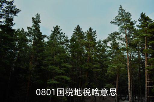 鹽城地稅三化是什么意思，地稅三優(yōu)兩促進(jìn)是什么意思