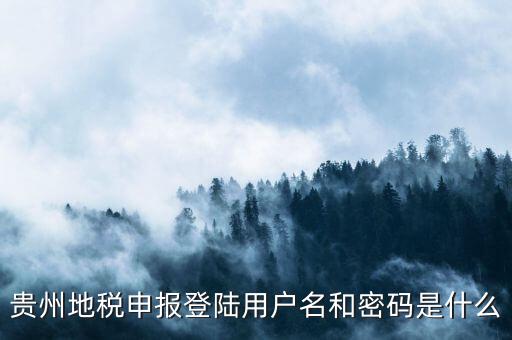 地稅登錄名密碼是什么意思，地稅申報(bào)的用戶名和密碼是什么