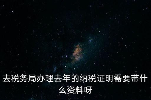 去稅務局辦理去年的納稅證明需要帶什么資料呀