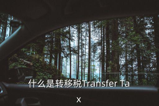 什么是跨地區(qū)稅收轉(zhuǎn)移企業(yè)，什么是轉(zhuǎn)移稅Transfer Tax