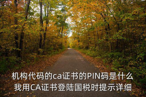 機構代碼的ca證書的PIN碼是什么我用CA證書登陸國稅時提示詳細