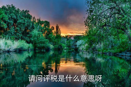 請(qǐng)問評(píng)稅是什么意思呀