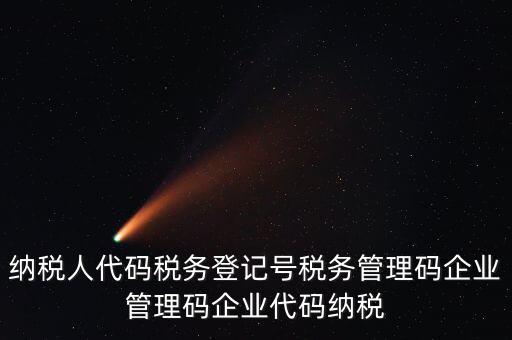 納稅人代碼稅務登記號稅務管理碼企業(yè)管理碼企業(yè)代碼納稅