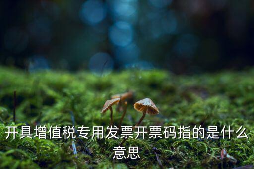 開具增值稅專用發(fā)票開票碼指的是什么意思