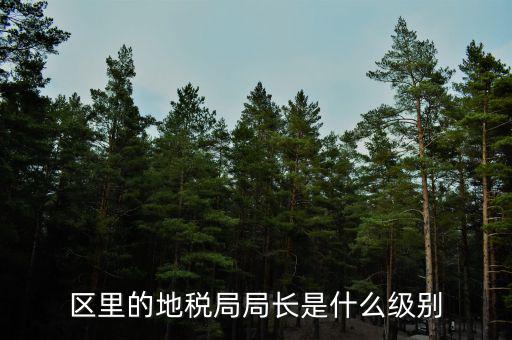 安徽省地稅局局長是什么級別，區(qū)里的地稅局局長是什么級別