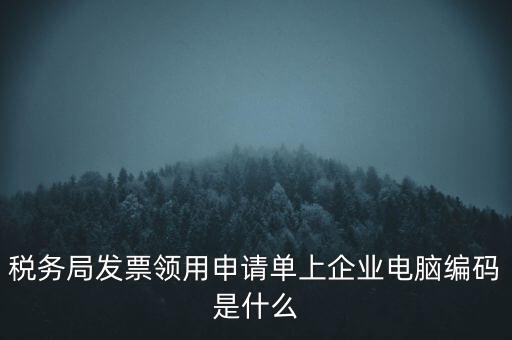 稅務(wù)局發(fā)票領(lǐng)用申請(qǐng)單上企業(yè)電腦編碼是什么