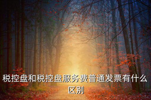 金稅盤和稅控盤有什么區(qū)別，金稅盤和稅控盤開出的發(fā)票有什么區(qū)別