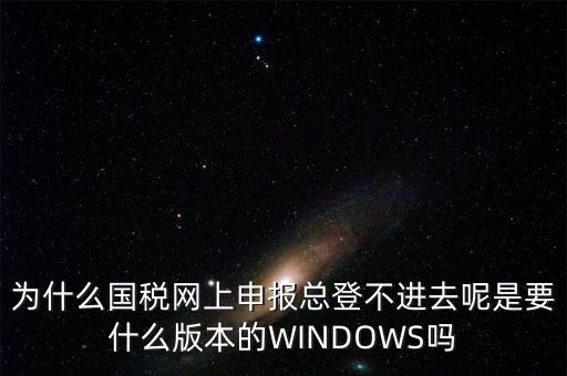 為什么國稅網(wǎng)上申報總登不進去呢是要什么版本的WINDOWS嗎