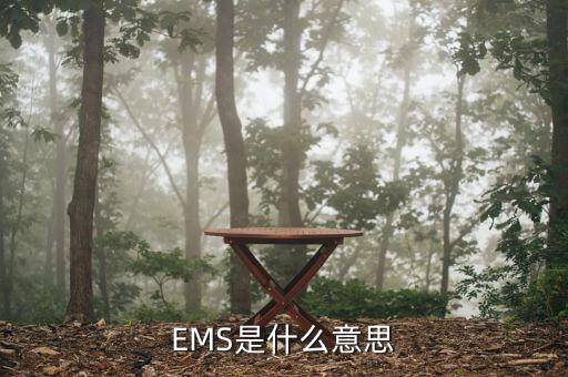 EMS是什么意思