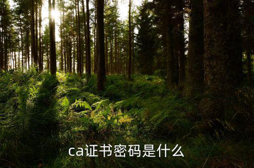 ca證書(shū)密碼是什么