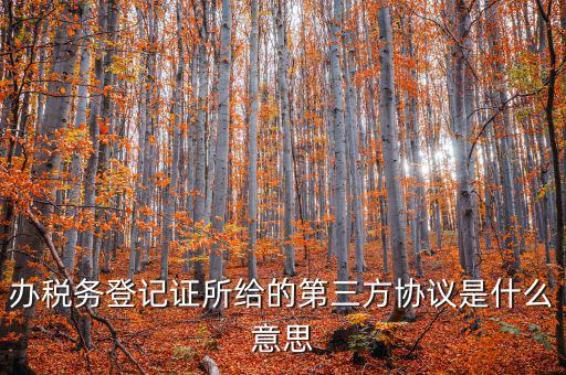 辦稅務(wù)登記證所給的第三方協(xié)議是什么意思