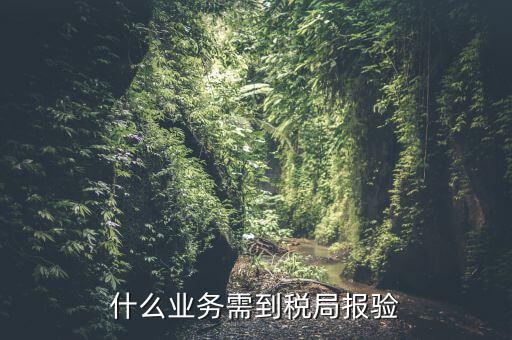 什么是稅務(wù)報(bào)驗(yàn)，地稅發(fā)票報(bào)驗(yàn)是什么回事啊 怎么報(bào)驗(yàn)什么時(shí)候報(bào)驗(yàn)啊