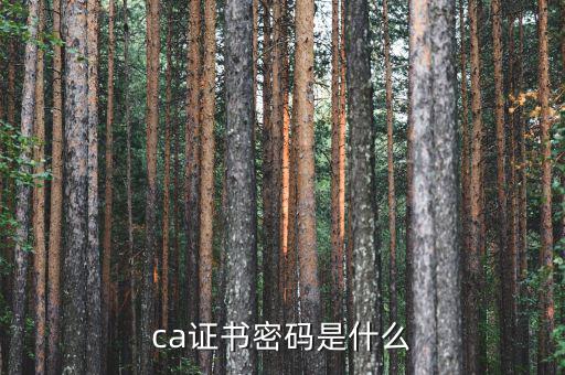 ca證書(shū)密碼是什么