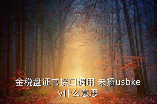 金稅盤證書接口調用 未插usbkey什么意思