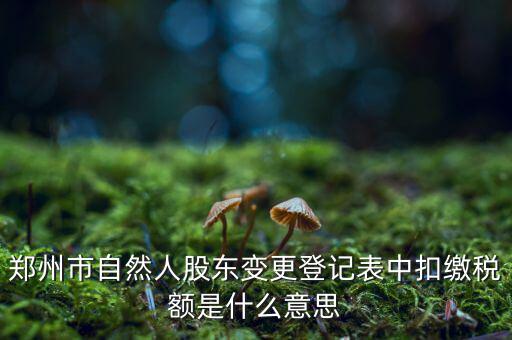 扣繳稅款登記是什么意思，應當按照稅收征管法等有關(guān)規(guī)定辦理扣繳稅款登記領(lǐng)取扣繳憑