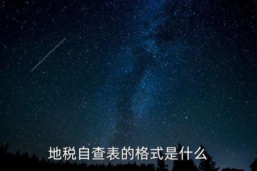 地稅自查表的格式是什么