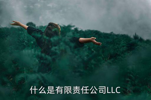 什么是有限責(zé)任公司LLC