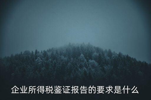 企業(yè)所得稅鑒證報(bào)告的要求是什么