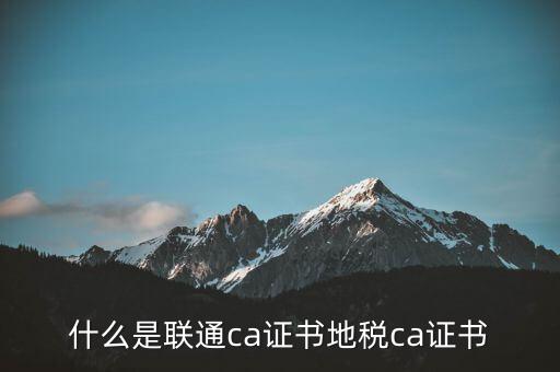 什么是聯(lián)通ca證書地稅ca證書