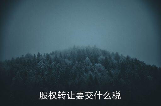 股權(quán)轉(zhuǎn)讓要交什么稅