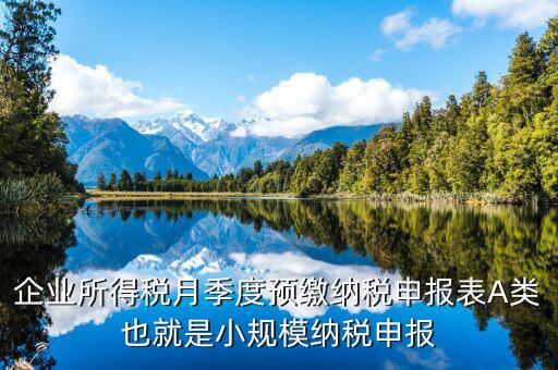 福建預繳申請表什么格式，企業(yè)所得稅月季度預繳納稅申報表A類也就是小規(guī)模納稅申報