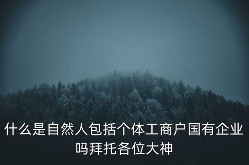 什么是稅務(wù)中的自然人，會(huì)計(jì)中自然人所指的是那種人