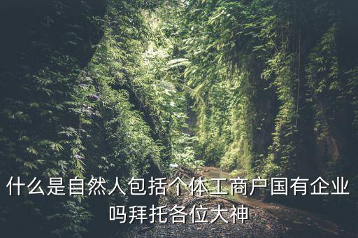 什么是自然人包括個體工商戶國有企業(yè)嗎拜托各位大神