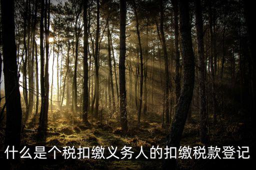 什么是個(gè)稅扣繳義務(wù)人的扣繳稅款登記