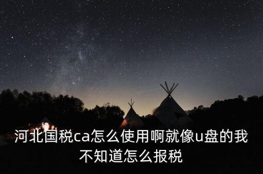 河北國(guó)稅ca怎么使用啊就像u盤(pán)的我不知道怎么報(bào)稅