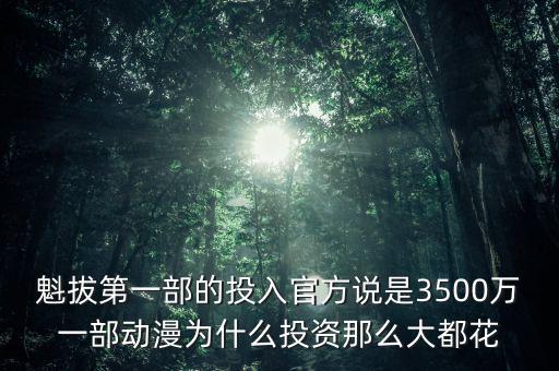 魁拔第一部的投入官方說是3500萬一部動漫為什么投資那么大都花