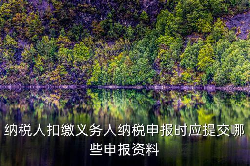 納稅人扣繳義務(wù)人納稅申報時應(yīng)提交哪些申報資料