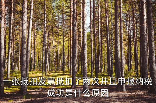 一張抵扣發(fā)票抵扣了兩次并且申報納稅成功是什么原因