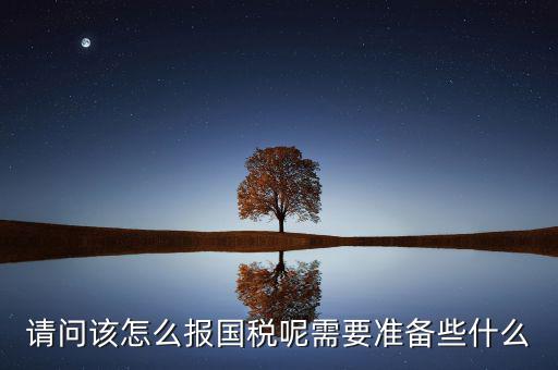 請(qǐng)問該怎么報(bào)國稅呢需要準(zhǔn)備些什么