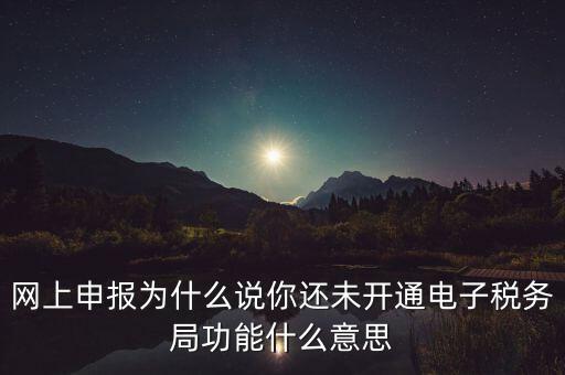 電子稅務(wù)局是干什么，企業(yè)金稅盤系統(tǒng)用來開票抄稅報(bào)稅用那登錄國稅地稅局網(wǎng)站是干嘛的