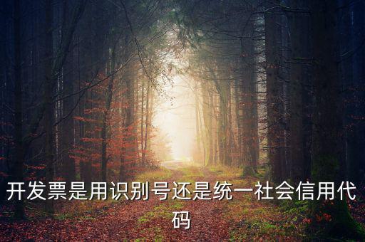 發(fā)票填寫統(tǒng)一社會(huì)代碼是什么，開發(fā)票要的稅號(hào)是統(tǒng)一社會(huì)代碼證號(hào)嗎