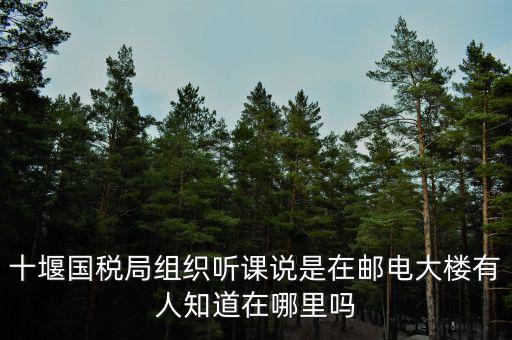 十堰國(guó)稅六辦指什么地方，十堰國(guó)稅局組織聽(tīng)課說(shuō)是在郵電大樓有人知道在哪里嗎