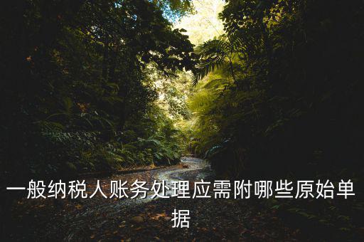 一般納稅人賬務(wù)處理應(yīng)需附哪些原始單據(jù)